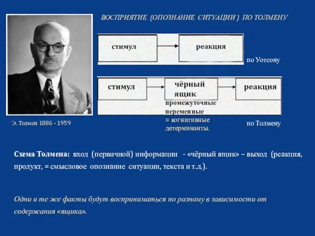 промежуточные переменные = когнитивные детерминанты. ВОСПРИЯТИЕ (ОПОЗНАНИЕ СИТУАЦИИ ) ПО ТОЛМЕНУ Cхема