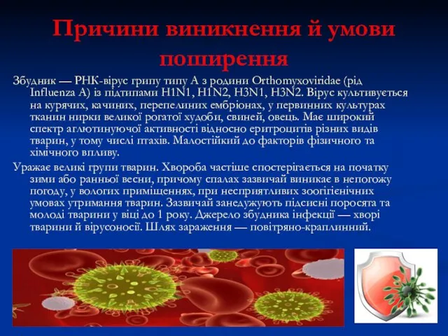 Причини виникнення й умови поширення Збудник — РНК-вірус грипу типу А з