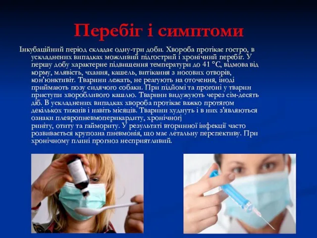 Перебіг і симптоми Інкубаційний період складає одну-три доби. Хвороба протікає гостро, в