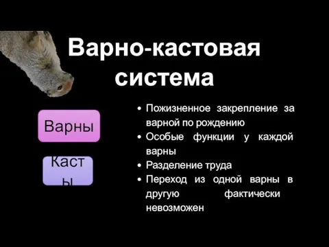 Варно-кастовая система Варны Касты Пожизненное закрепление за варной по рождению Особые функции