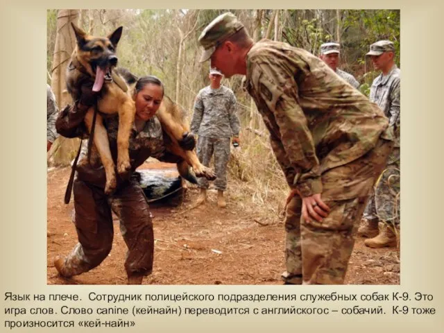 Язык на плече. Сотрудник полицейского подразделения служебных собак К-9. Это игра слов.