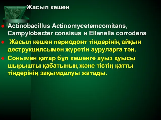 Жасыл кешен Actinobacillus Actinomycetemcomitans, Campylobacter consisus и Eilenella corrodens Жасыл кешен периодонт