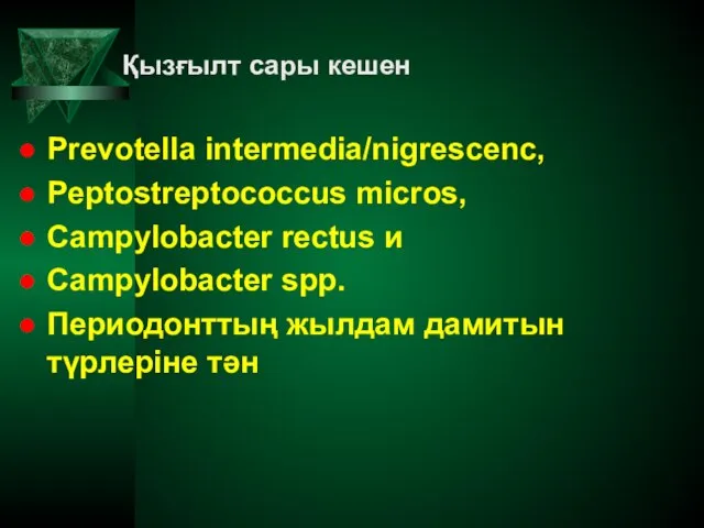 Қызғылт сары кешен Prevotella intermedia/nigrescenc, Peptostreptococcus micros, Campylobacter rectus и Campylobacter spp.