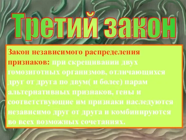 Третий закон Закон независимого распределения признаков: при скрещивании двух гомозиготных организмов, отличающихся