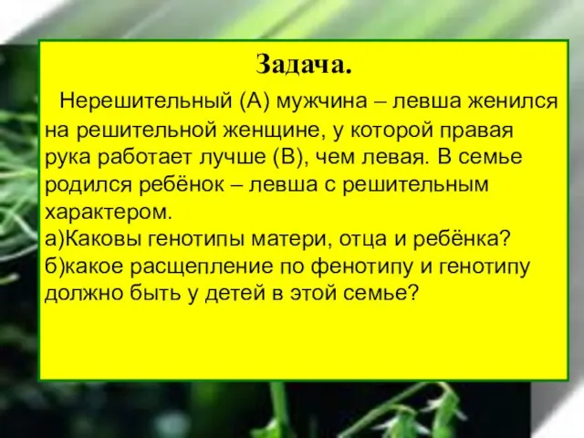 Задача. Нерешительный (А) мужчина – левша женился на решительной женщине, у которой