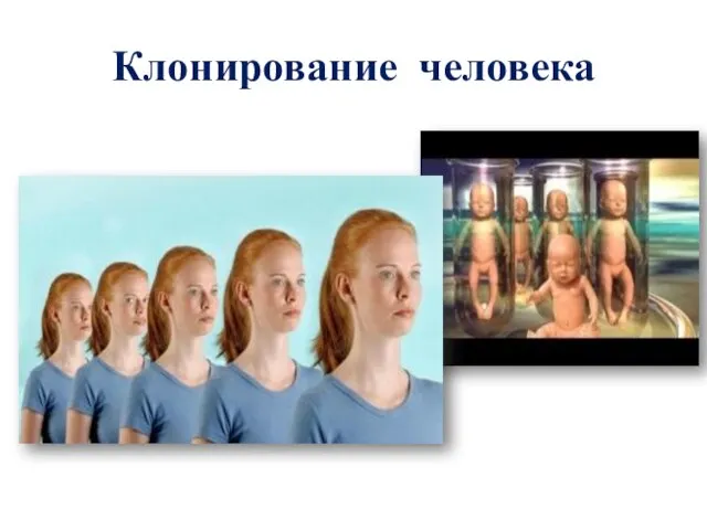 Клонирование человека