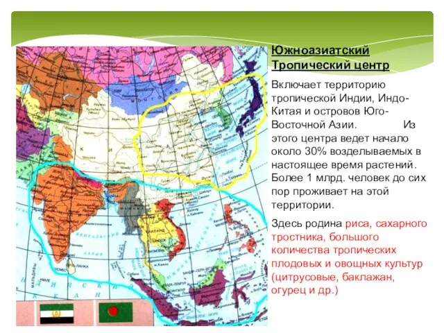 Южноазиатский Тропический центр Включает территорию тропической Индии, Индо-Китая и островов Юго-Восточной Азии.