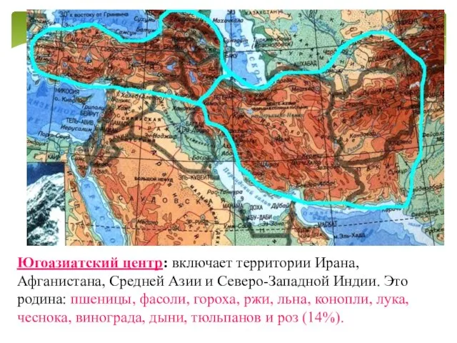 Югоазиатский центр: включает территории Ирана, Афганистана, Средней Азии и Северо-Западной Индии. Это