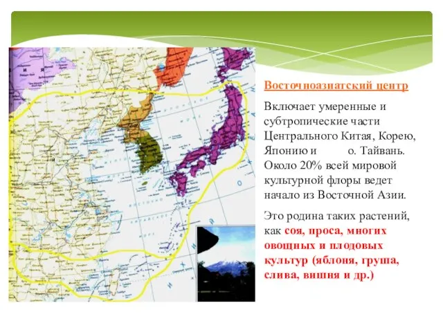 Восточноазиатский центр Включает умеренные и субтропические части Центрального Китая, Корею, Японию и