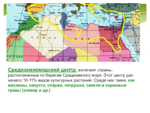 Средиземноморский центр: включает страны, расположенные по берегам Средиземного моря. Этот центр дал