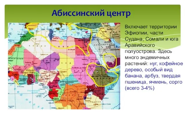 Абиссинский центр Включает территории Эфиопии, части Судана, Сомали и юга Аравийского полуострова.