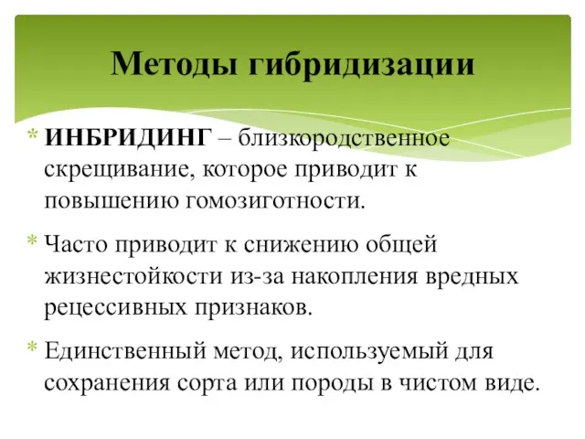 ИНБРИДИНГ – близкородственное скрещивание, которое приводит к повышению гомозиготности. Часто приводит к