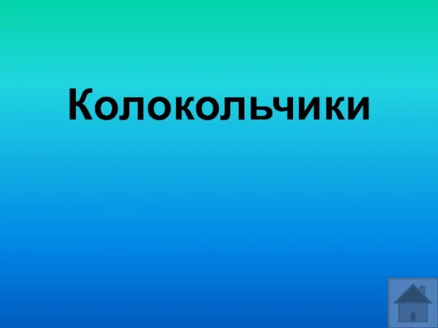 Колокольчики