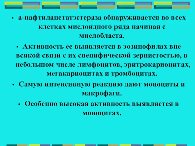 a-нафтилацетатэстераза обнаруживается во всех клетках миелоидного ряда начиная с миелобласта. Активность ее