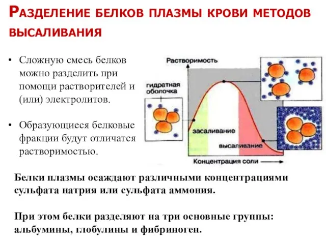 Сложную смесь белков можно разделить при помощи растворителей и (или) электролитов. Образующиеся