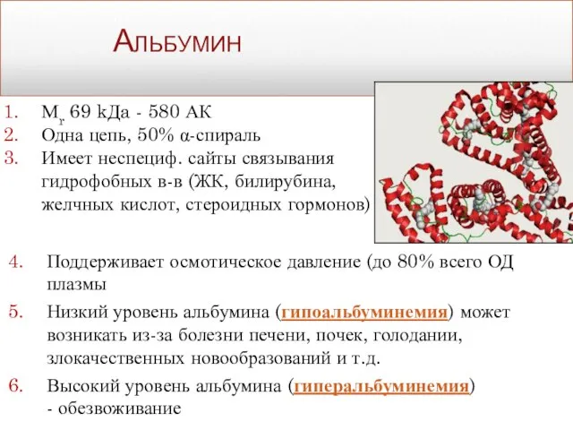 Альбумин Поддерживает осмотическое давление (до 80% всего ОД плазмы Низкий уровень альбумина