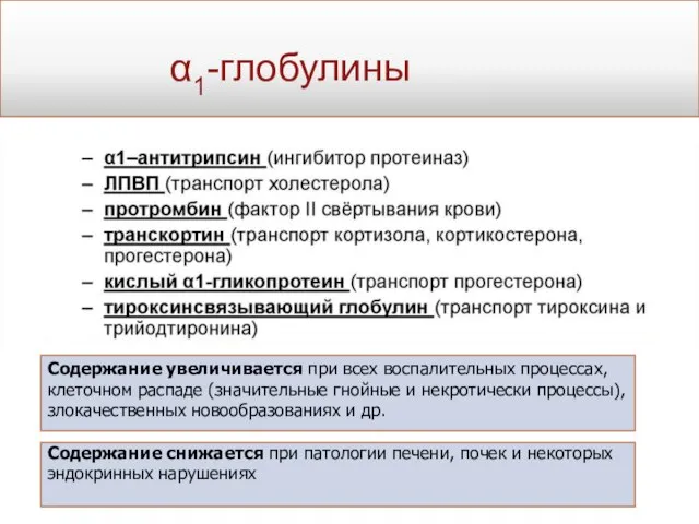 α1-глобулины Содержание увеличивается при всех воспалительных процессах, клеточном распаде (значительные гнойные и