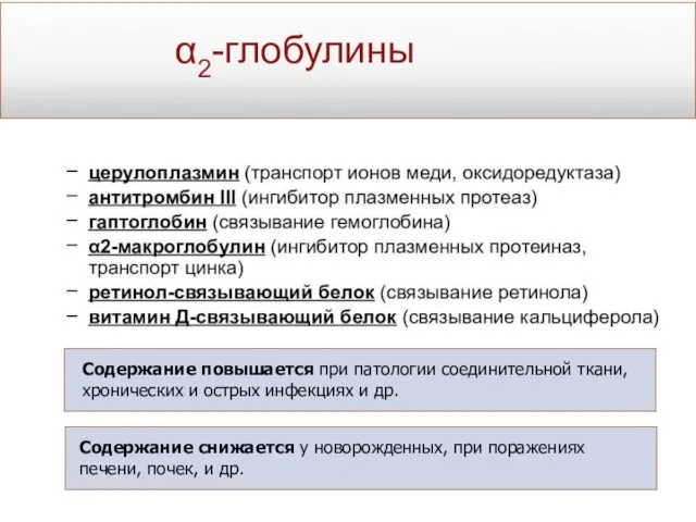 α2-глобулины Содержание повышается при патологии соединительной ткани, хронических и острых инфекциях и