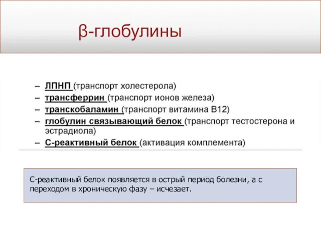 β-глобулины С-реактивный белок появляется в острый период болезни, а с переходом в хроническую фазу – исчезает.