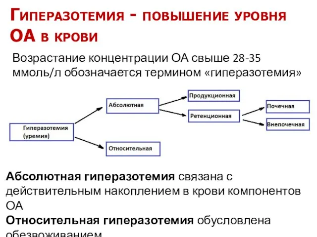 Гиперазотемия - повышение уровня ОА в крови Возрастание концентрации ОА свыше 28-35