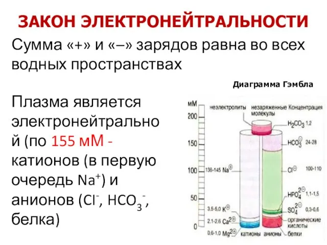 ЗАКОН ЭЛЕКТРОНЕЙТРАЛЬНОСТИ Сумма «+» и «–» зарядов равна во всех водных пространствах