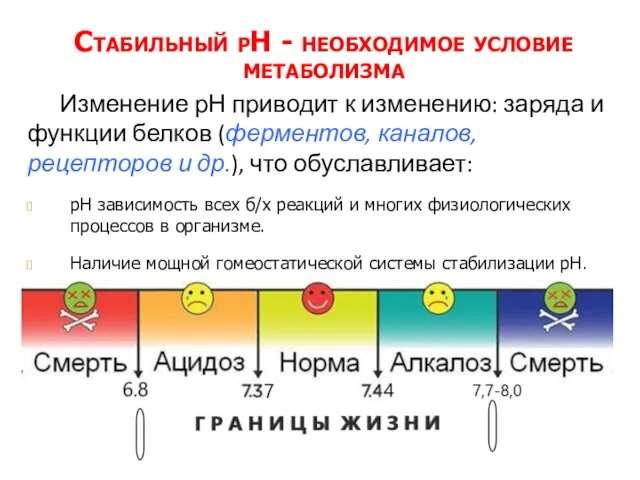 Стабильный рН - необходимое условие метаболизма Изменение рН приводит к изменению: заряда