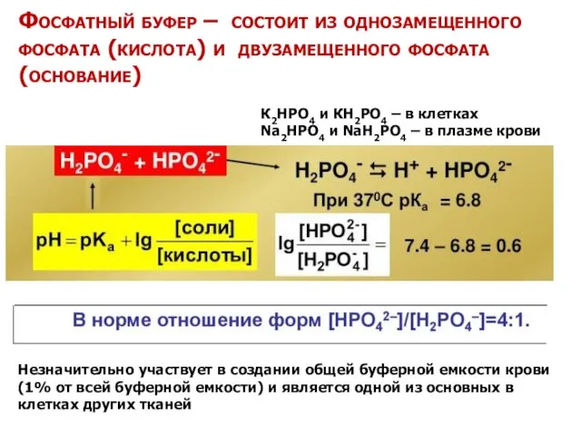 Фосфатный буфер – состоит из однозамещенного фосфата (кислота) и двузамещенного фосфата (основание)