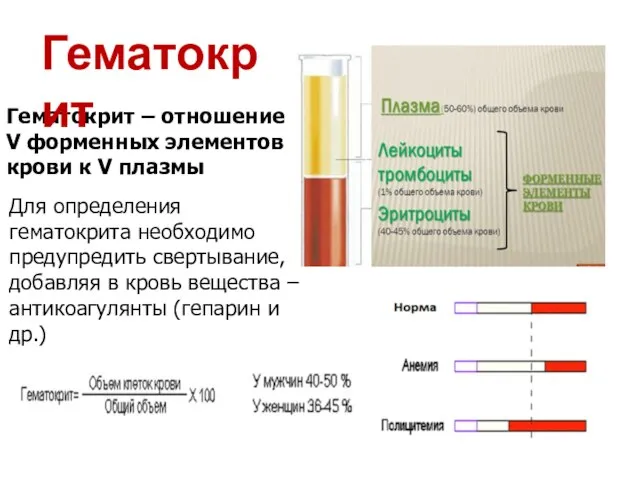 Гематокрит – отношение V форменных элементов крови к V плазмы Гематокрит Для