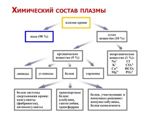 Химический состав плазмы