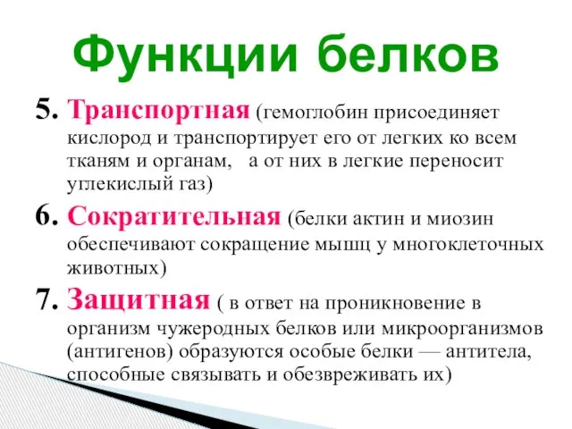 5. Транспортная (гемоглобин присоединяет кислород и транспортирует его от легких ко всем