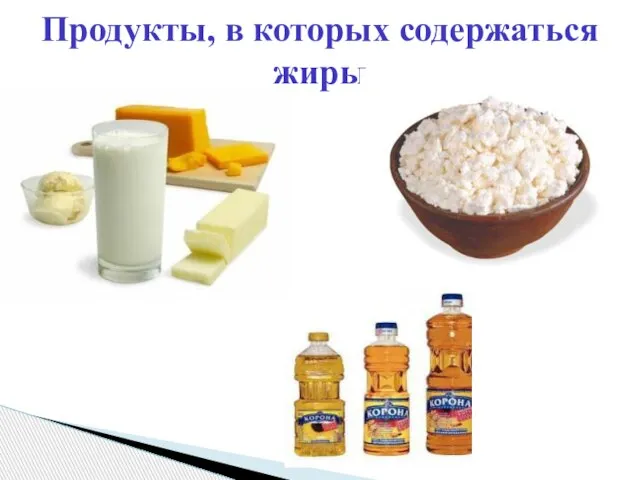 Продукты, в которых содержаться жиры