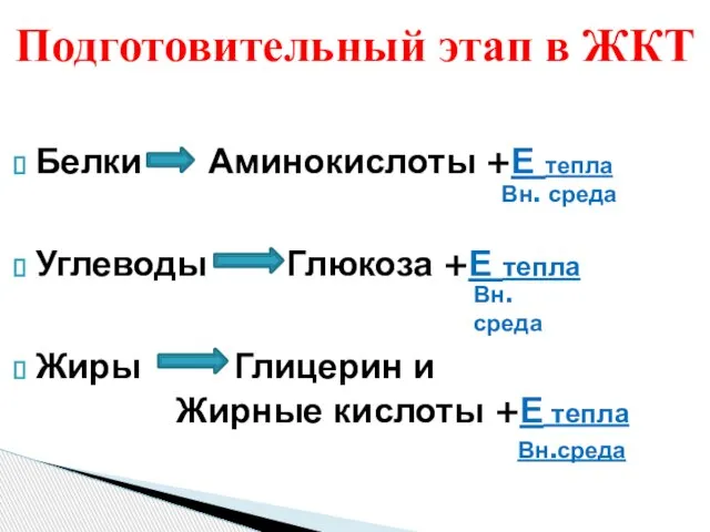 Белки Аминокислоты +Е тепла Углеводы Глюкоза +Е тепла Жиры Глицерин и Жирные