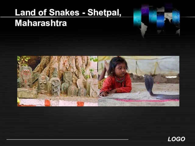 Land of Snakes - Shetpal, Maharashtra