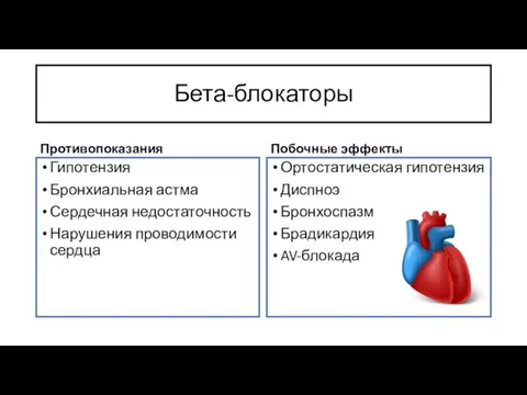 Бета-блокаторы Противопоказания Гипотензия Бронхиальная астма Сердечная недостаточность Нарушения проводимости сердца Побочные эффекты