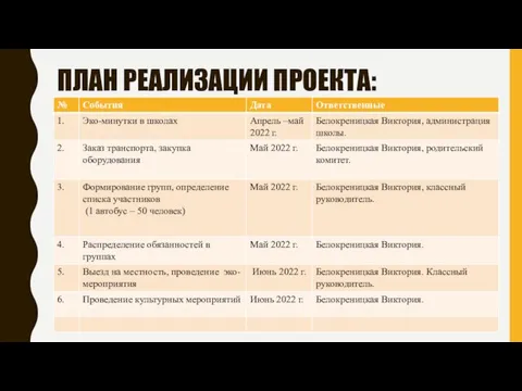 ПЛАН РЕАЛИЗАЦИИ ПРОЕКТА: