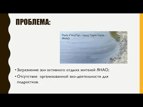 ПРОБЛЕМА: Загрязнение зон активного отдыха жителей ЯНАО; Отсутствие организованной эко-деятельности для подростков.