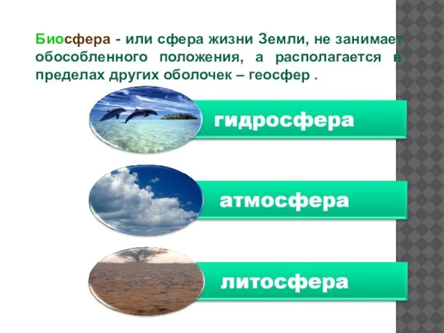 Биосфера - или сфера жизни Земли, не занимает обособленного положения, а располагается