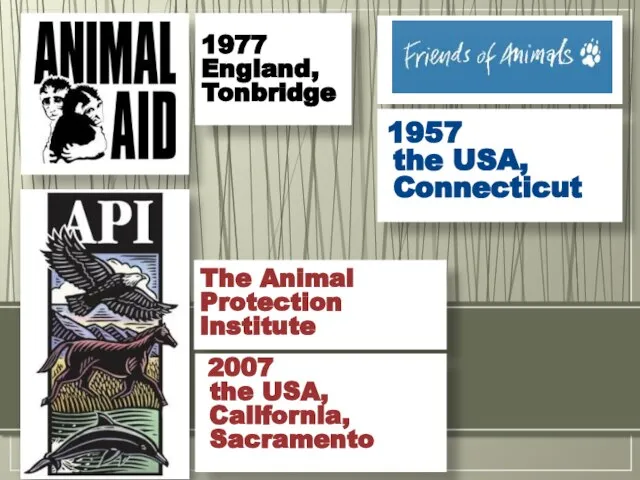 1977 England, Tonbridge 1957 the USA, Connecticut The Animal Protection Institute 2007 the USA, California, Sacramento