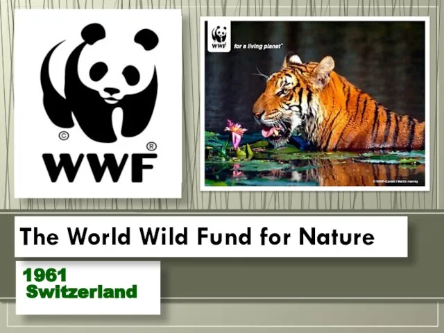 1961 Switzerland The World Wild Fund for Nature