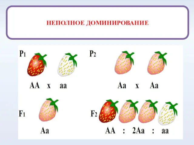 НЕПОЛНОЕ ДОМИНИРОВАНИЕ