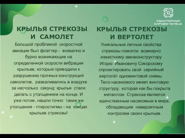 КРЫЛЬЯ СТРЕКОЗЫ И ВЕРТОЛЕТ Уникальные летные свойства стрекозы помогли всемирно известному авиаконструктору