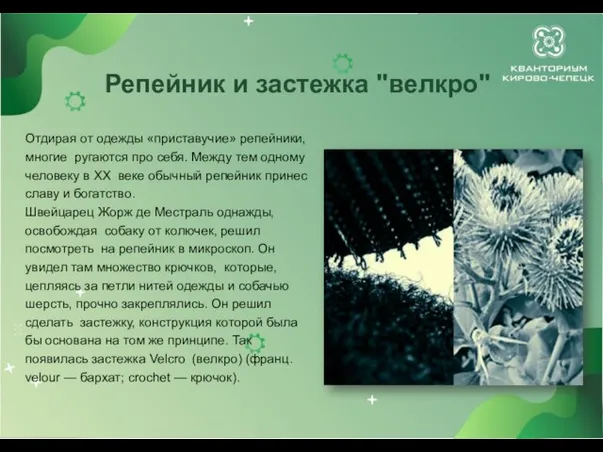 Репейник и застежка "велкро" Отдирая от одежды «приставучие» репейники, многие ругаются про