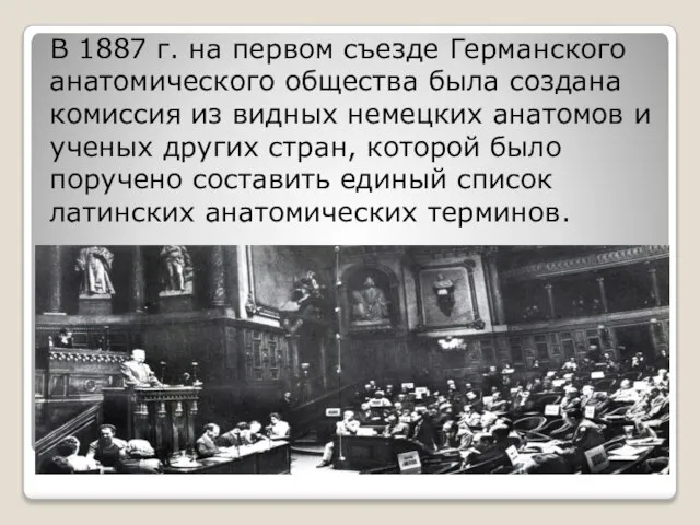 В 1887 г. на первом съезде Германского анатомического общества была создана комиссия