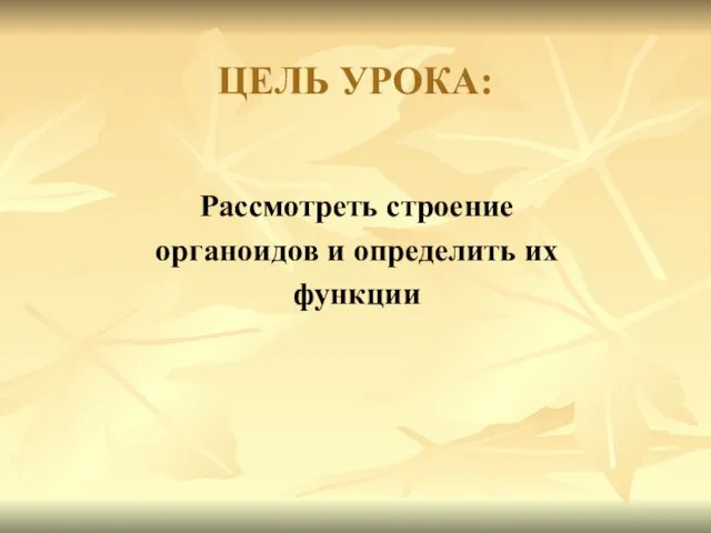 ЦЕЛЬ УРОКА: Рассмотреть строение органоидов и определить их функции