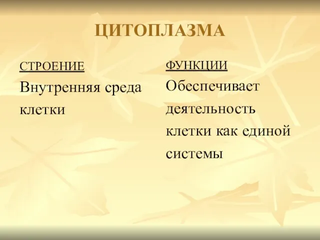 ЦИТОПЛАЗМА СТРОЕНИЕ Внутренняя среда клетки ФУНКЦИИ Обеспечивает деятельность клетки как единой системы