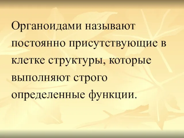 Органоидами называют постоянно присутствующие в клетке структуры, которые выполняют строго определенные функции.