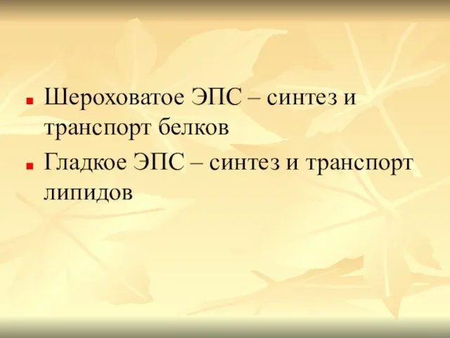 Шероховатое ЭПС – синтез и транспорт белков Гладкое ЭПС – синтез и транспорт липидов