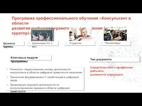 Программа профессионального обучения «Консультант в области развития цифровой грамотности населения (цифровой куратор)»