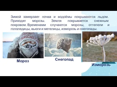 Зимой замерзает почва и водоёмы покрываются льдом. Приходят морозы. Земля покрывается снежным