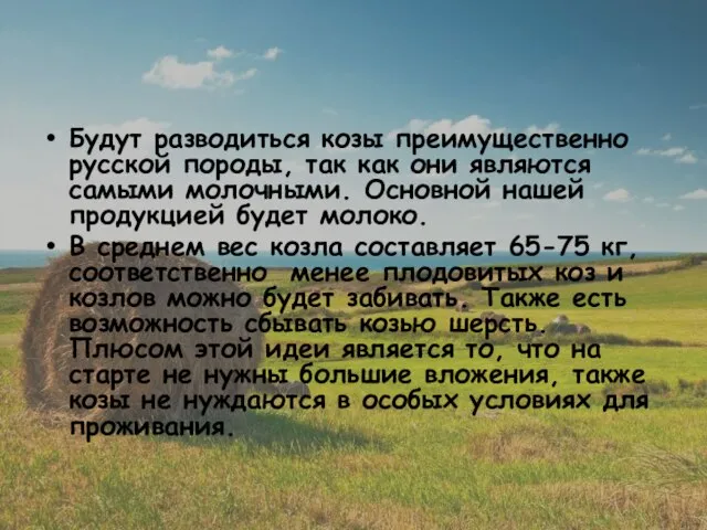 Будут разводиться козы преимущественно русской породы, так как они являются самыми молочными.